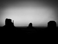 IMG_2494